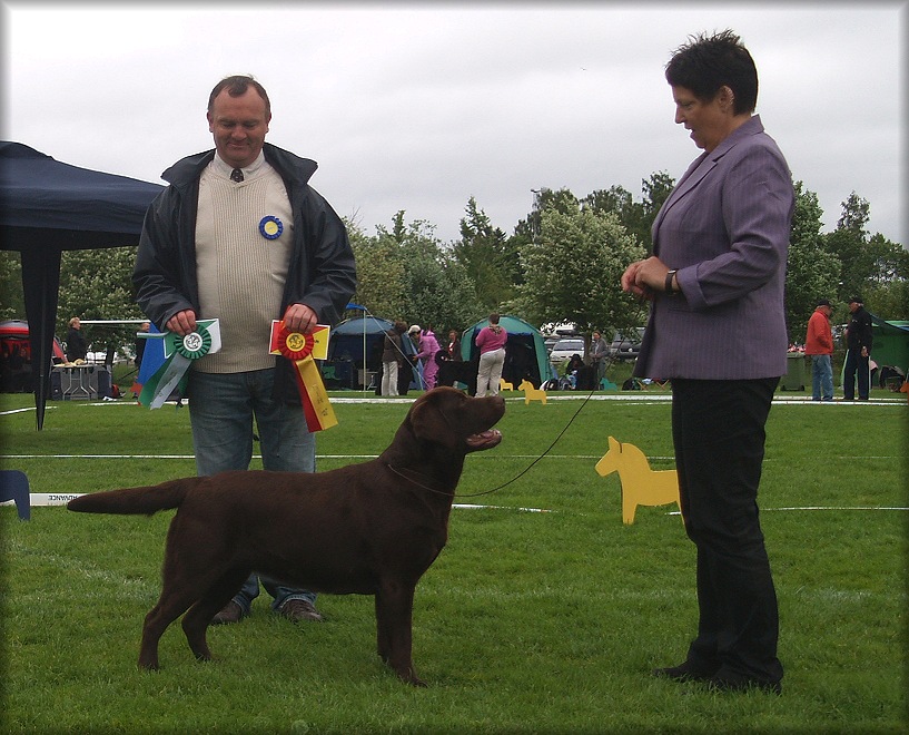 BOB & Swedish Winner 2010