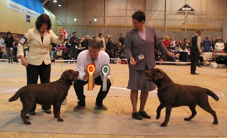 Vinna & Goodwill new NorwegianChampions under Björne Sörensen
