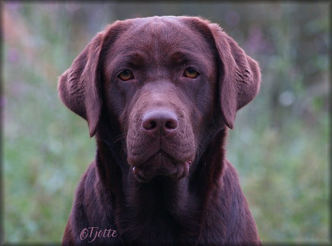 Vinna @ 18 months