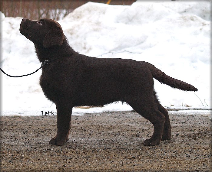 Vinna @ 12 weeks