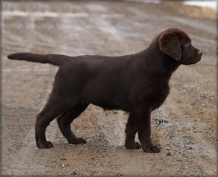Vinna @ 12 weeks
