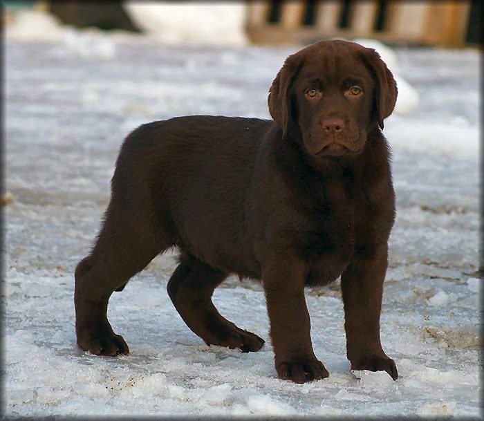 @ 9 weeks