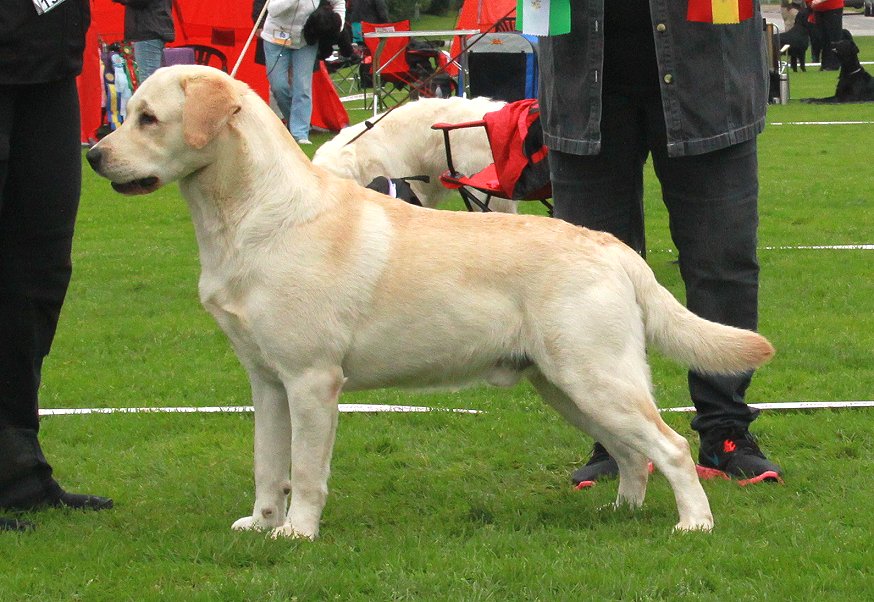 Deacon winning his 2nd CC