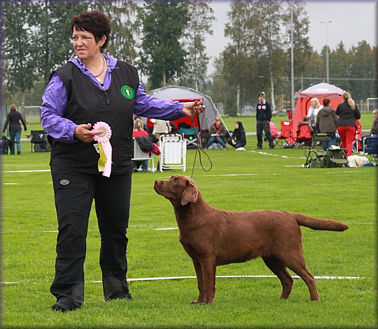 BOB & BIS Puppy