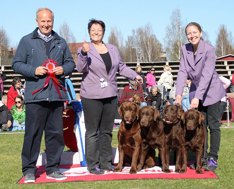 BEST IN SHOW Breeders group at SKK all breed show