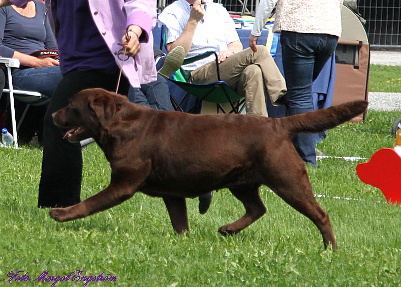 Vinna 2nd Championclass, not placed best bitch Sunday