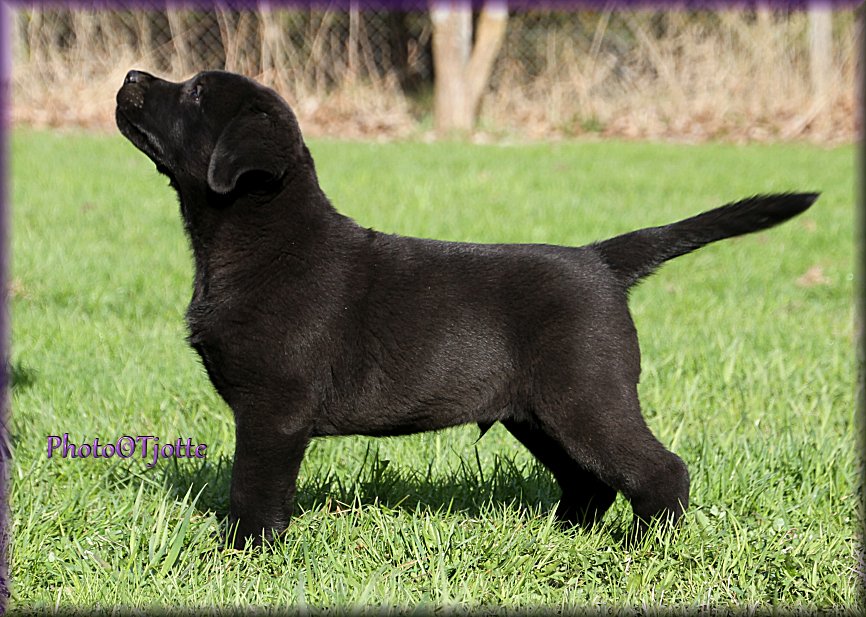 10 weeks