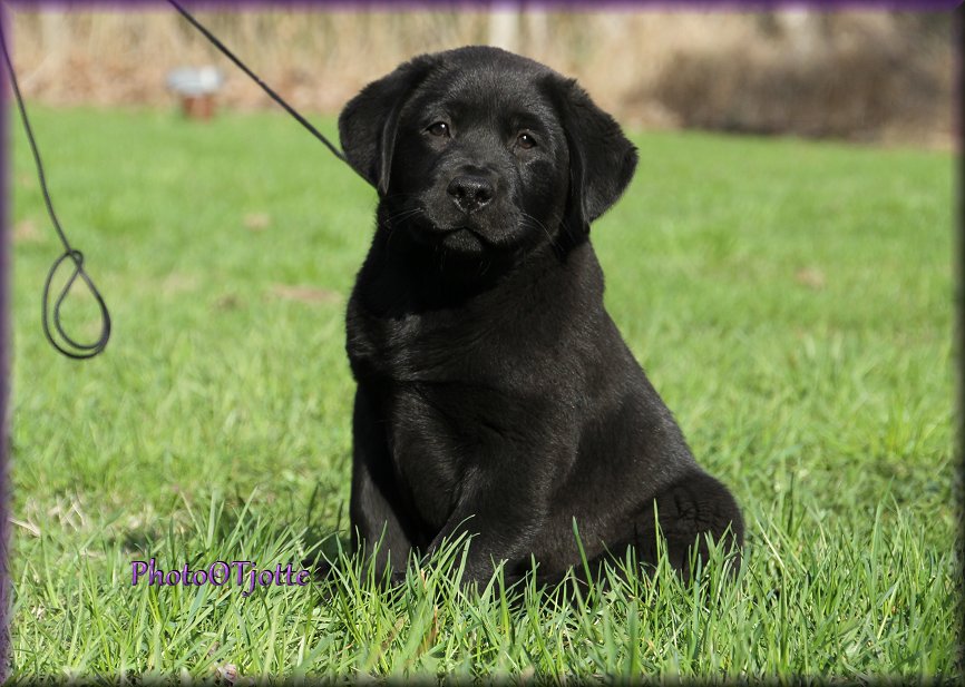 10 weeks