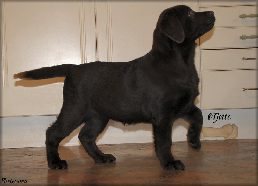 Prada @ 3 months