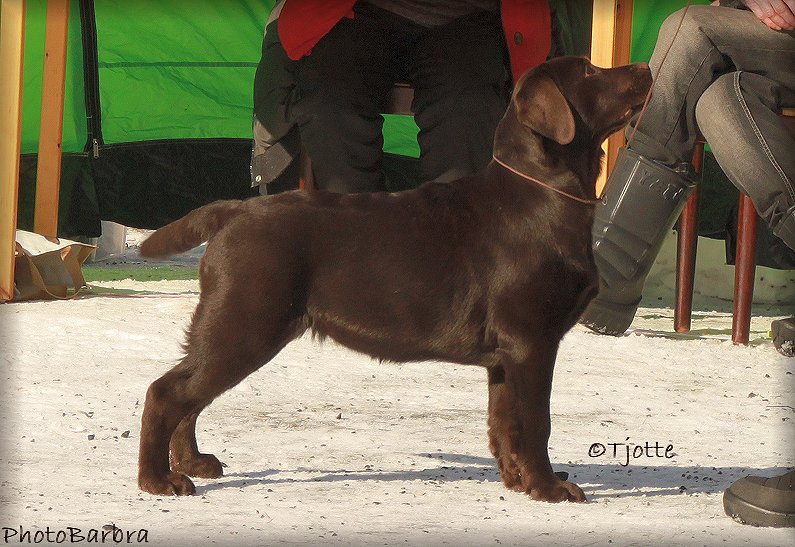 Showdebut at 4 months