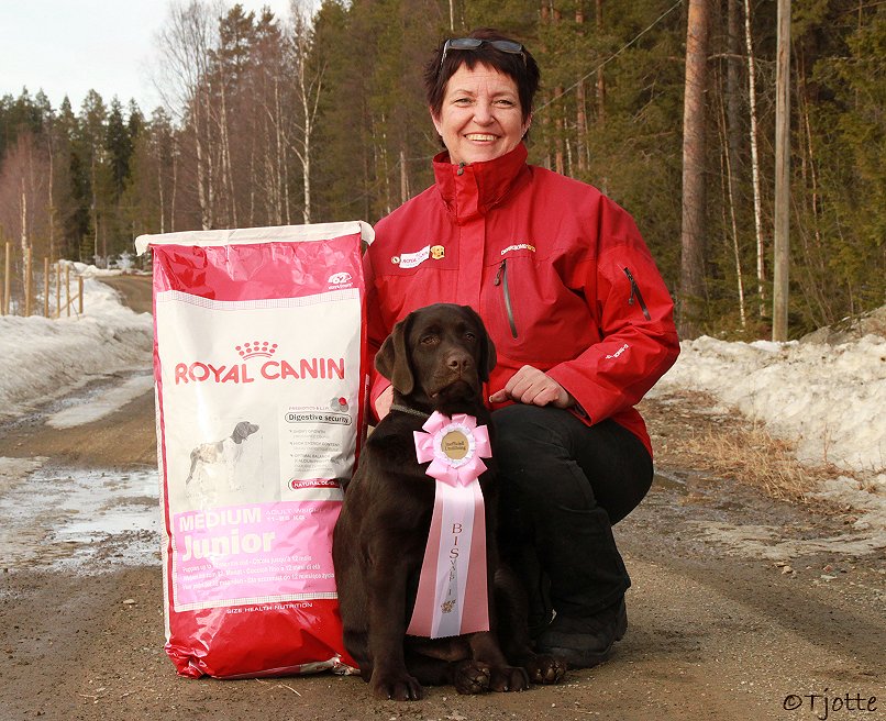 Showdebut and BEST IN SHOW