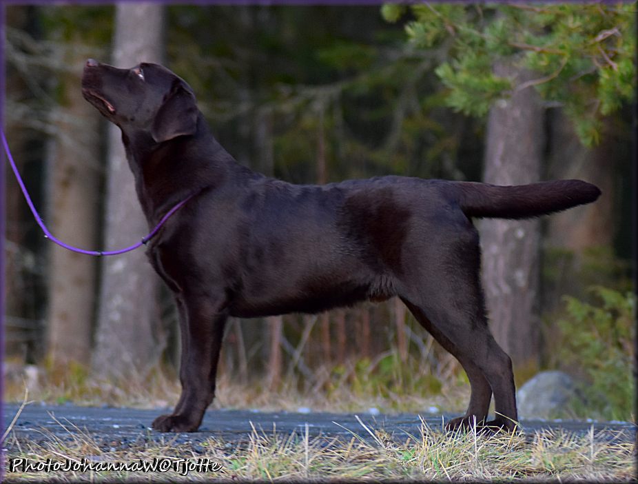 Rysco 7 months