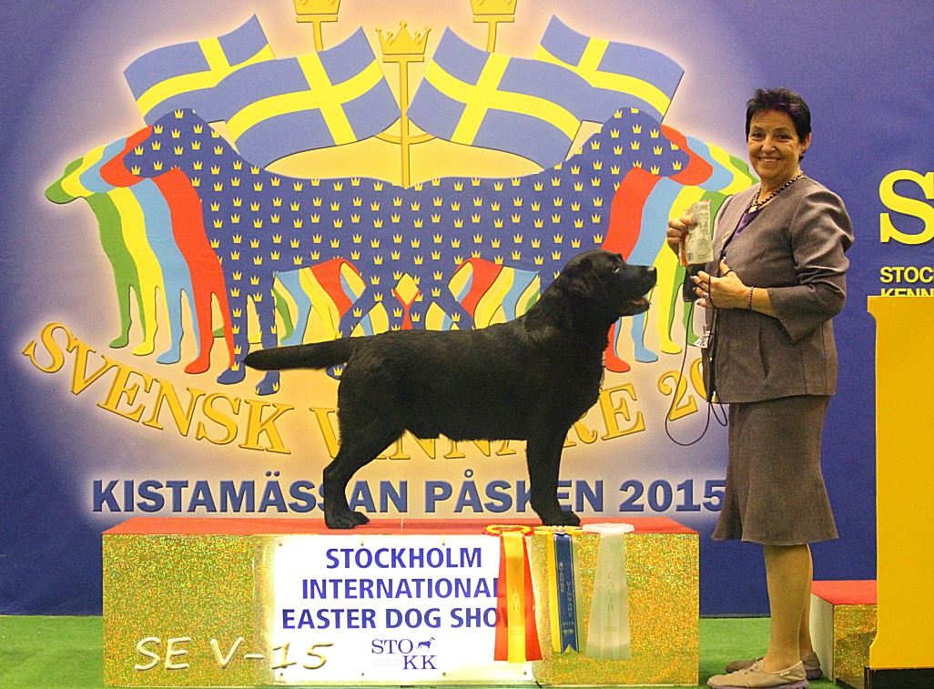 Swedish Winner 2015  !!!!!