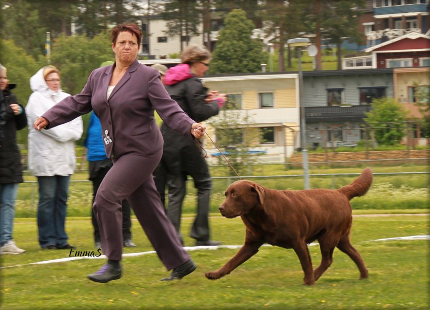 In the Best In Show ring !