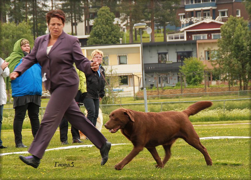 In the Best In Show ring !
