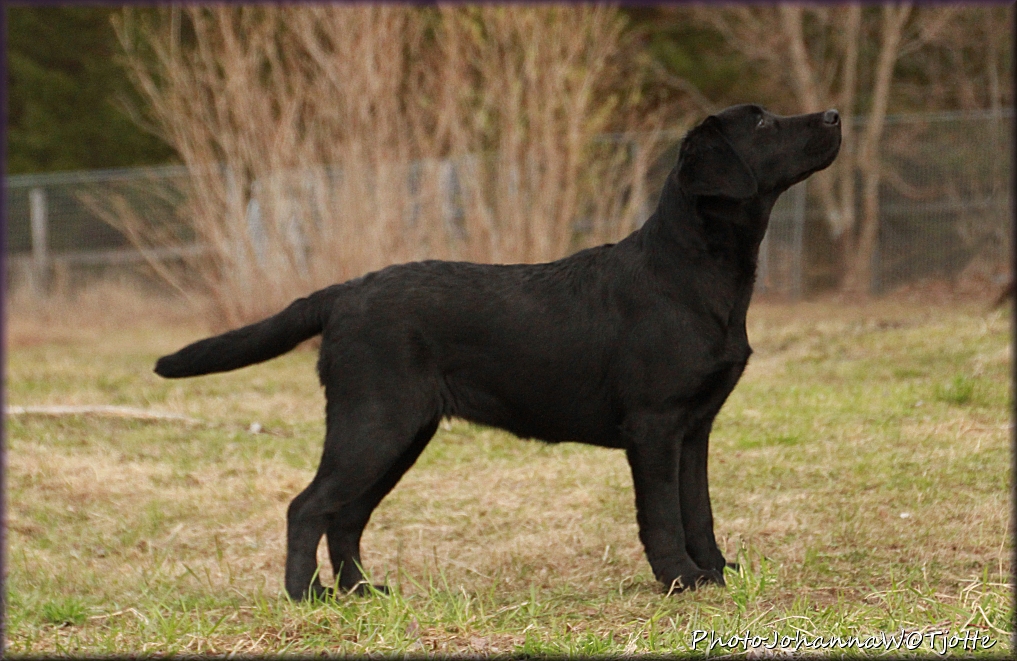 5 &frac12; months