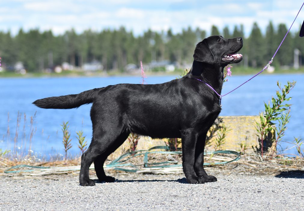7 &frac12; months