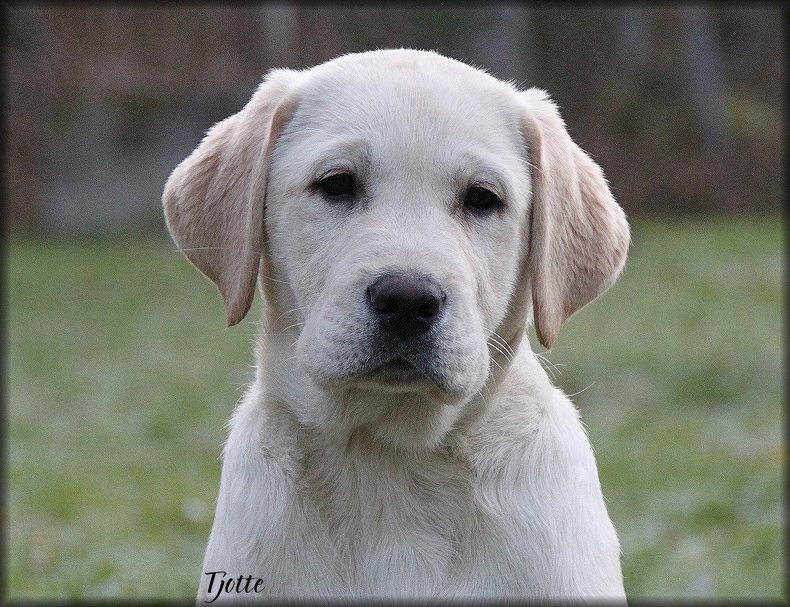 3 &frac12; months