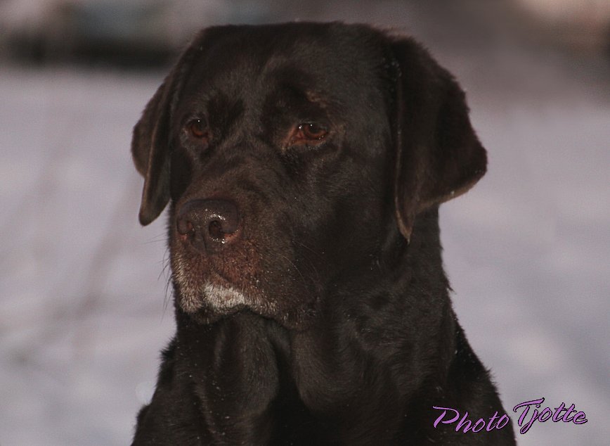 Gucci at 7  years