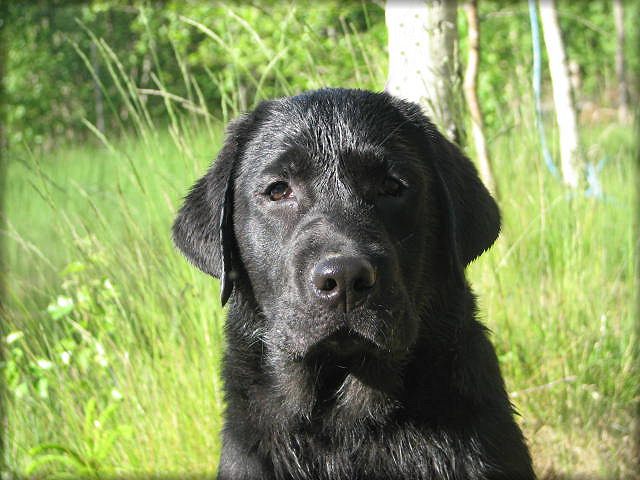 Nixon @ 4 months