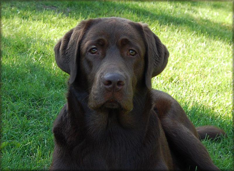 Lasse 9 months