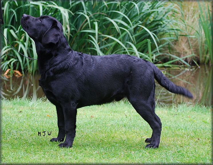 Nixon @ 7 months