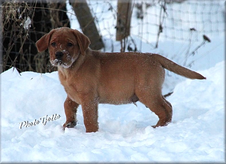 10 weeks