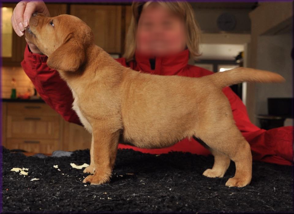 6 weeks
