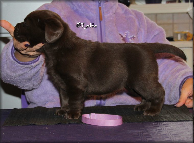 4 weeks