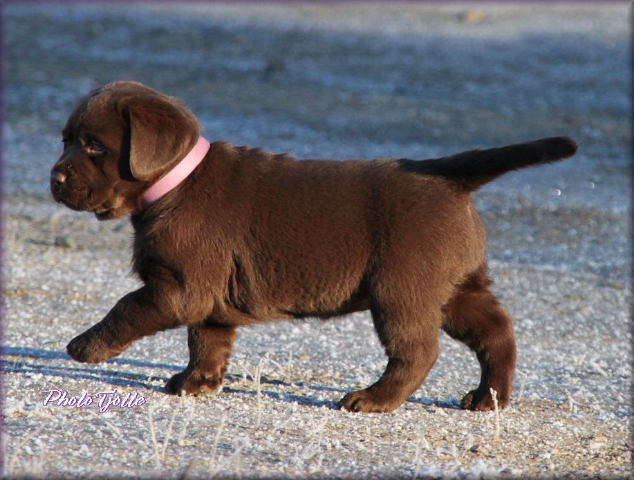 almost 6 weeks